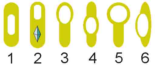 Examples of How Different Types of Bacteria Form Endospores