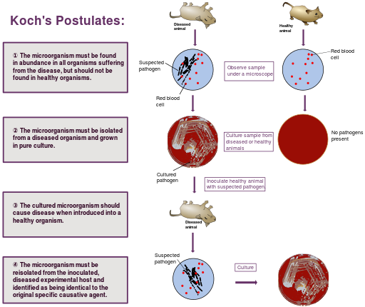 Koch's Postulates