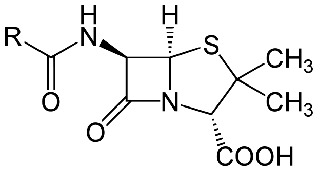 Penicillin core structure, where "R" is the variable group.