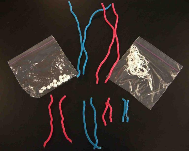 Classroom Hands-on Mitosis Exercise