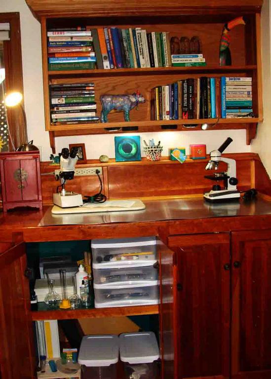 Home School Science Lab