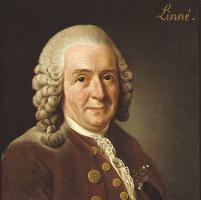 Carl Linnaeus