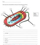 Prokaryotic Cell Diagram Homework Assignment