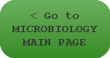 Microbiology Main Page