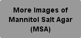 More Images of Mannitol Salt Agar (MSA)Button