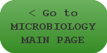 Microbiology Main Page