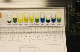 API-20E Strip for Identifying Gram-negative Bacteria